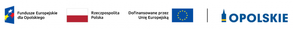 Nie-Sami-Dzielni – rozwój usług społecznych oraz wspierających osoby niesamodzielne – III edycja
