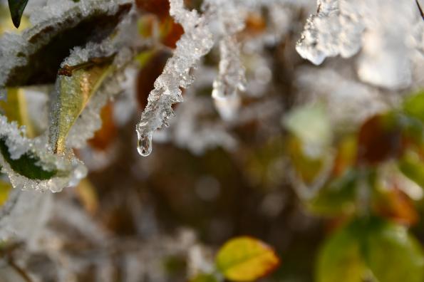 Uwaga nadchodzi odwilż!